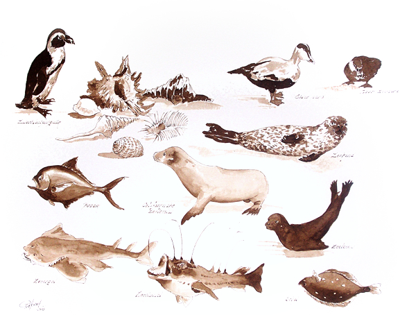 You are currently viewing Schilderij van diverse dieren